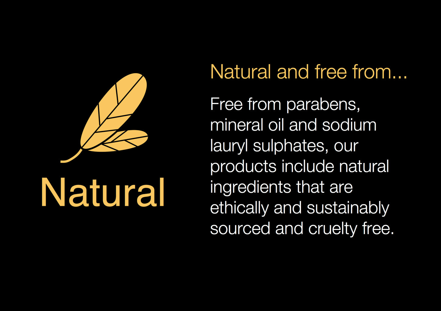 Natural, ethically sourced ingredients, non SLS and not tested on animals. The best moisturising Retinol Night Cream.